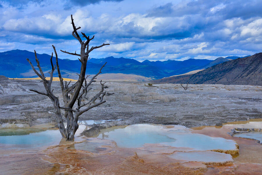 photographer Chris photo uncategorized  photo