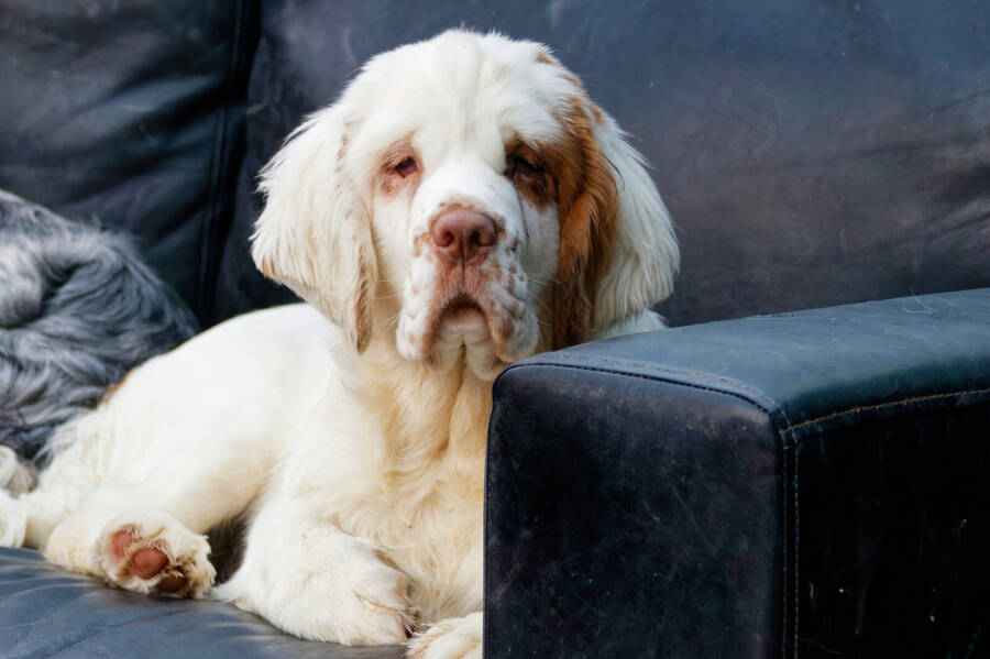 photographer dntphotographs portraiture  photo