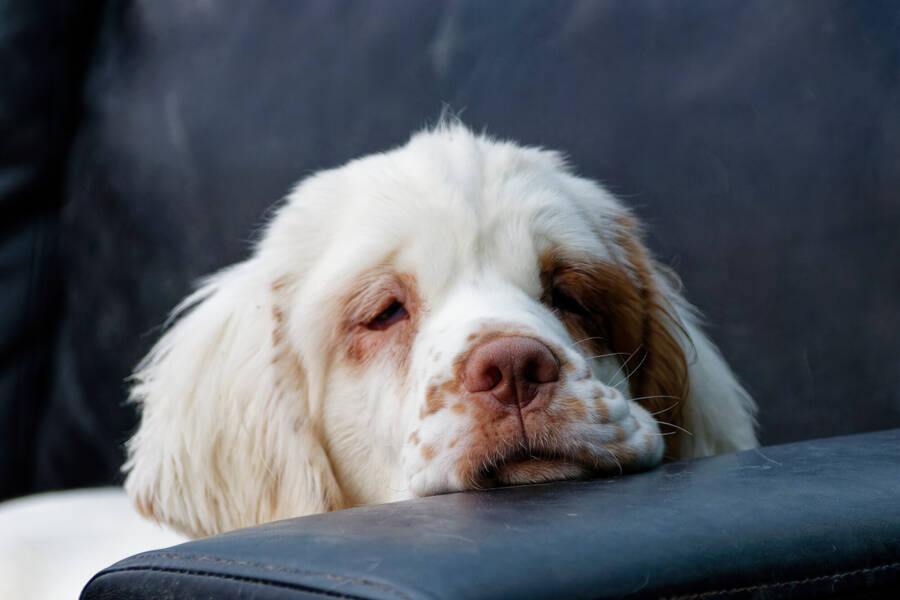 photographer dntphotographs portraiture  photo