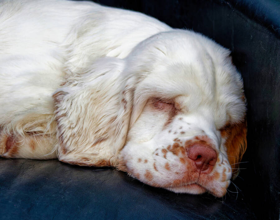 photographer dntphotographs portraiture  photo