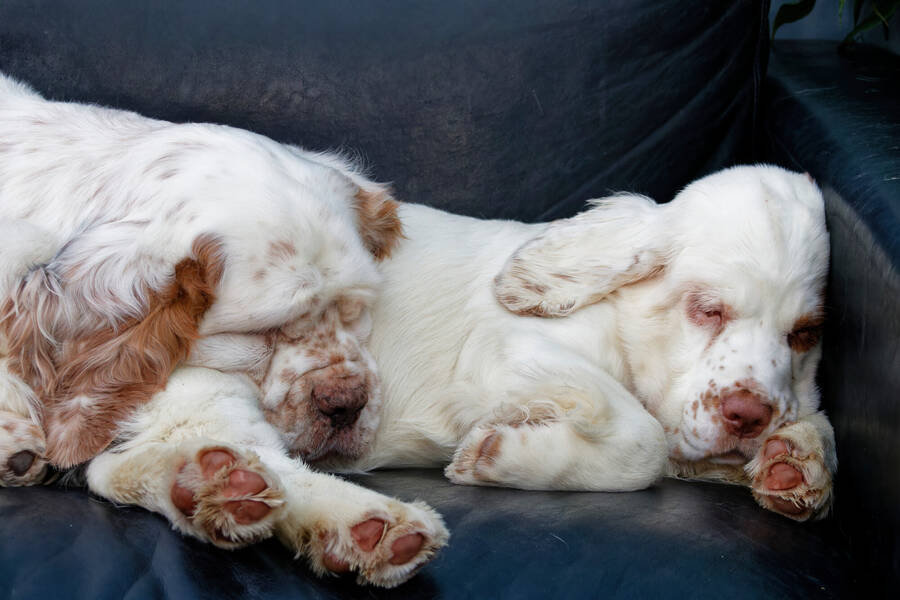 photographer dntphotographs portraiture  photo