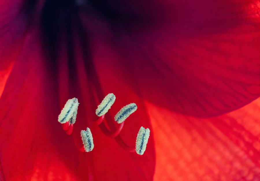 photographer dntphotographs uncategorized  photo