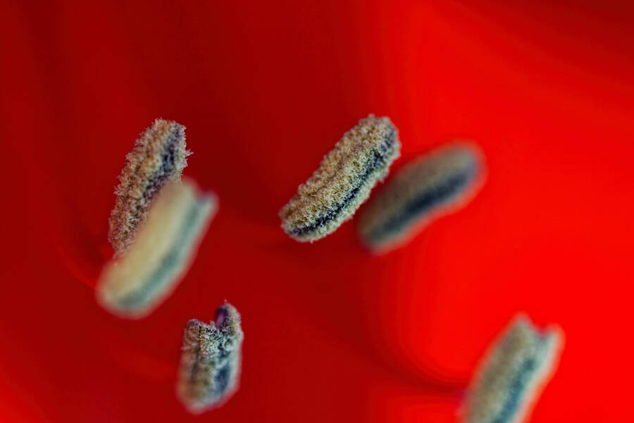 photographer dntphotographs uncategorized  photo