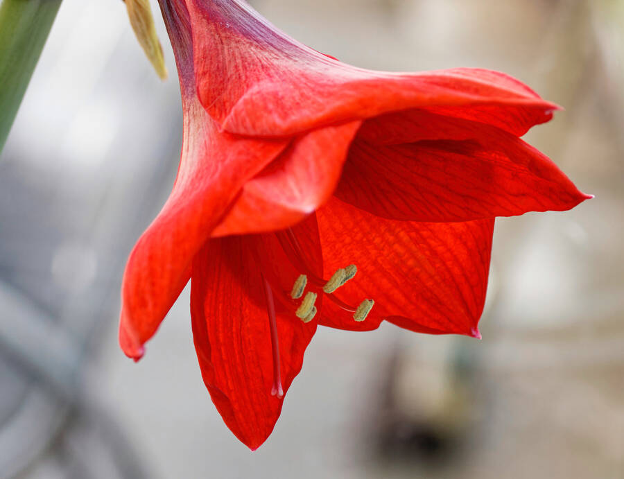 photographer dntphotographs uncategorized  photo