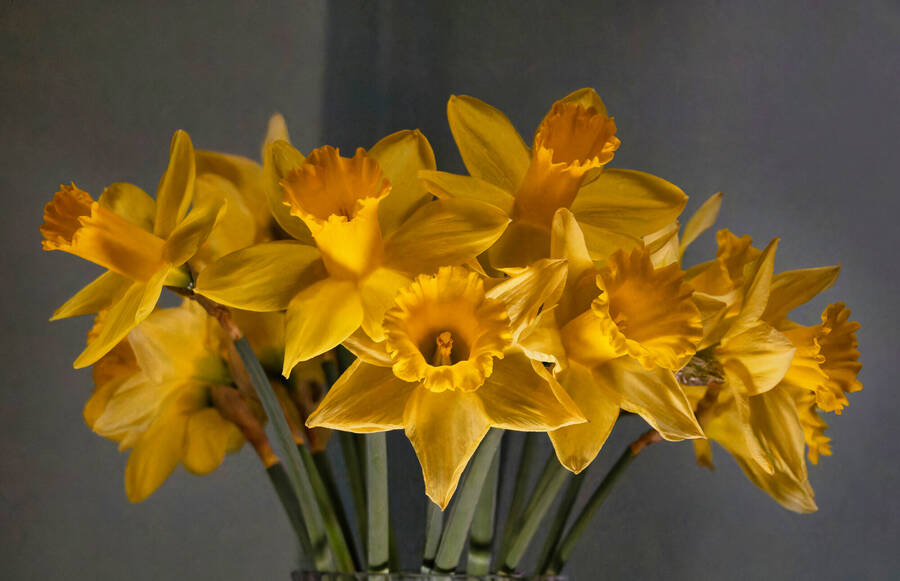 photographer dntphotographs uncategorized  photo