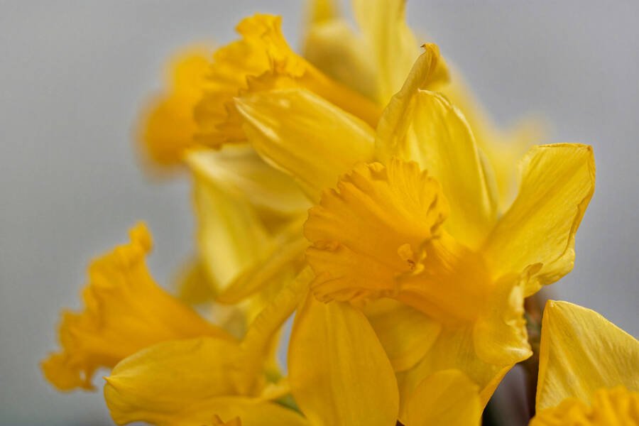 photographer dntphotographs uncategorized  photo