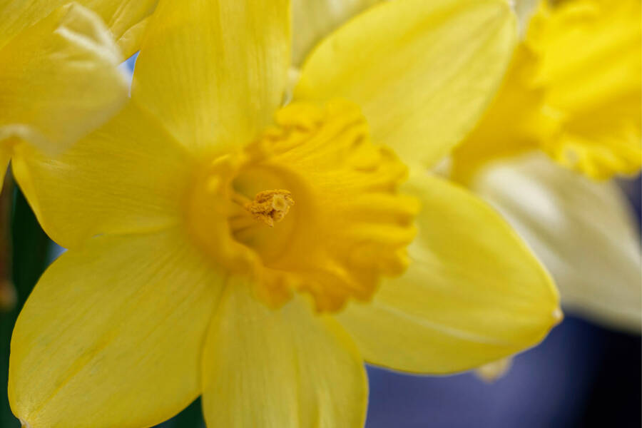 photographer dntphotographs uncategorized  photo