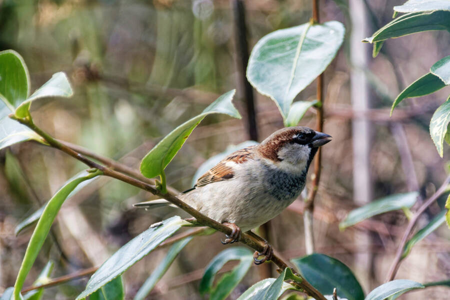 photographer dntphotographs wildlife  photo