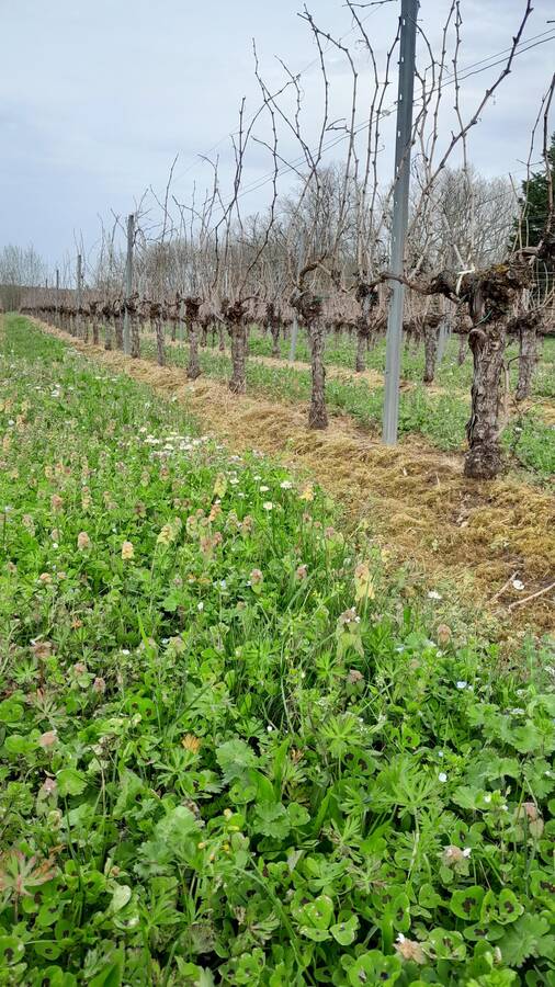 digital artist frankiedunn2022 landscape  photo taken by @frankiedunn2022