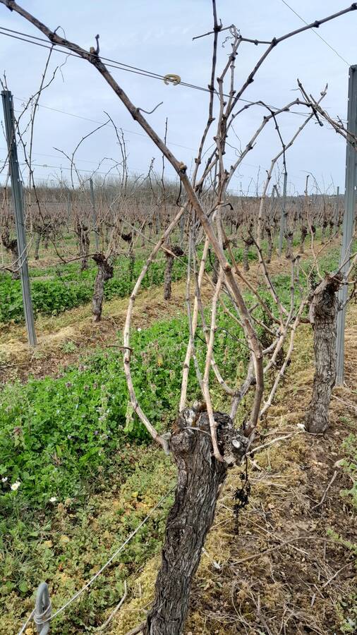 digital artist frankiedunn2022 landscape  photo