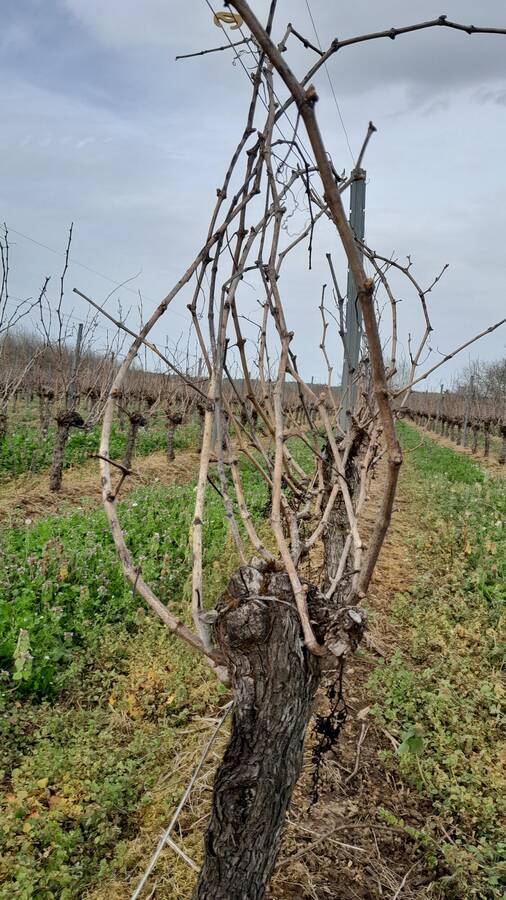 digital artist frankiedunn2022 landscape  photo taken by @frankiedunn2022