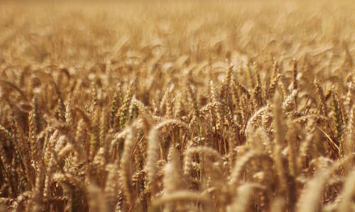 photographer Pan uncategorized modelling photo