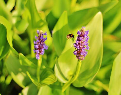 photographer Pan uncategorized modelling photo