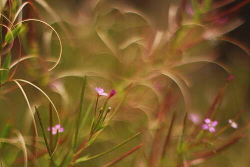 photographer Pan uncategorized modelling photo