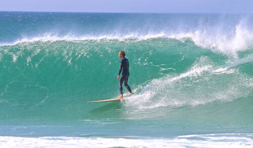 photographer Pan uncategorized  photo