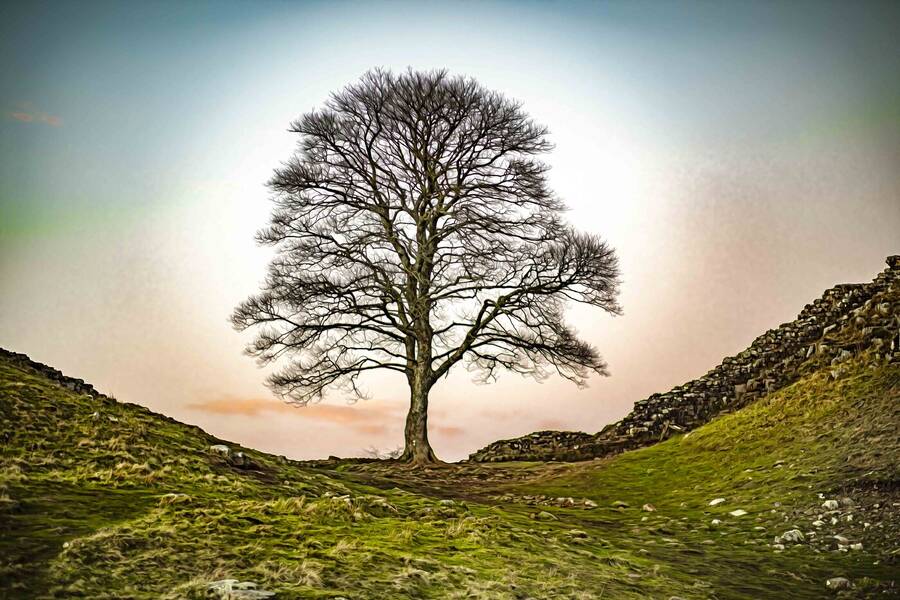 photographer Alex landscape  photo