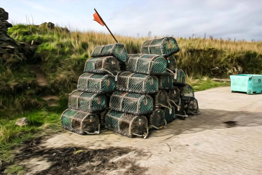 photographer Alex abstract  photo