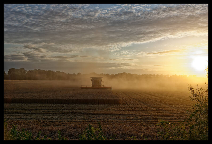 photographer Seano documentary  photo taken at France