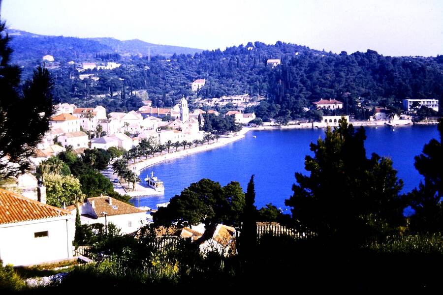 photographer Dave Wells uncategorized  photo