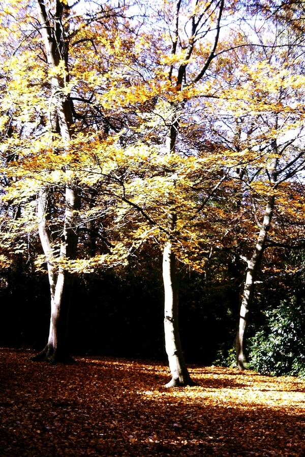 photographer Dave Wells uncategorized  photo