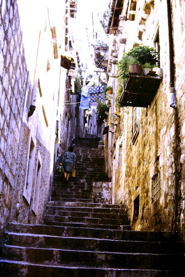 photographer Dave Wells uncategorized  photo