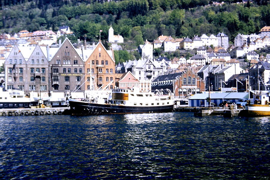 photographer Dave Wells uncategorized  photo