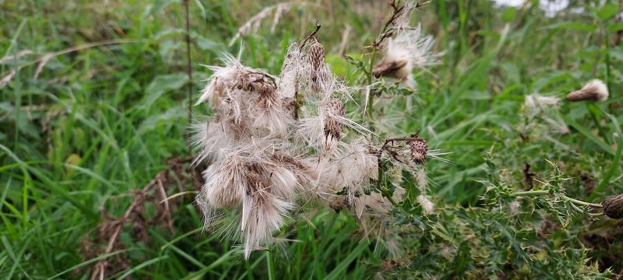 photographer Dave Wells uncategorized  photo