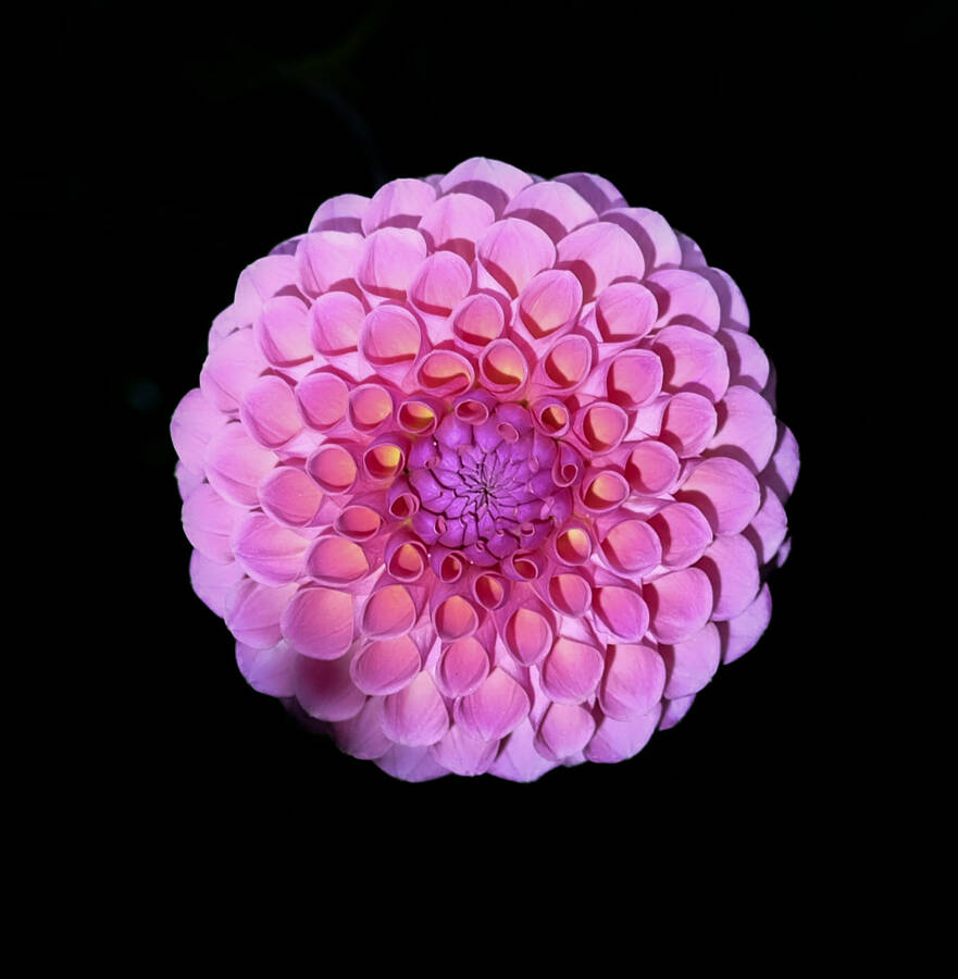 photographer Claudio uncategorized  photo