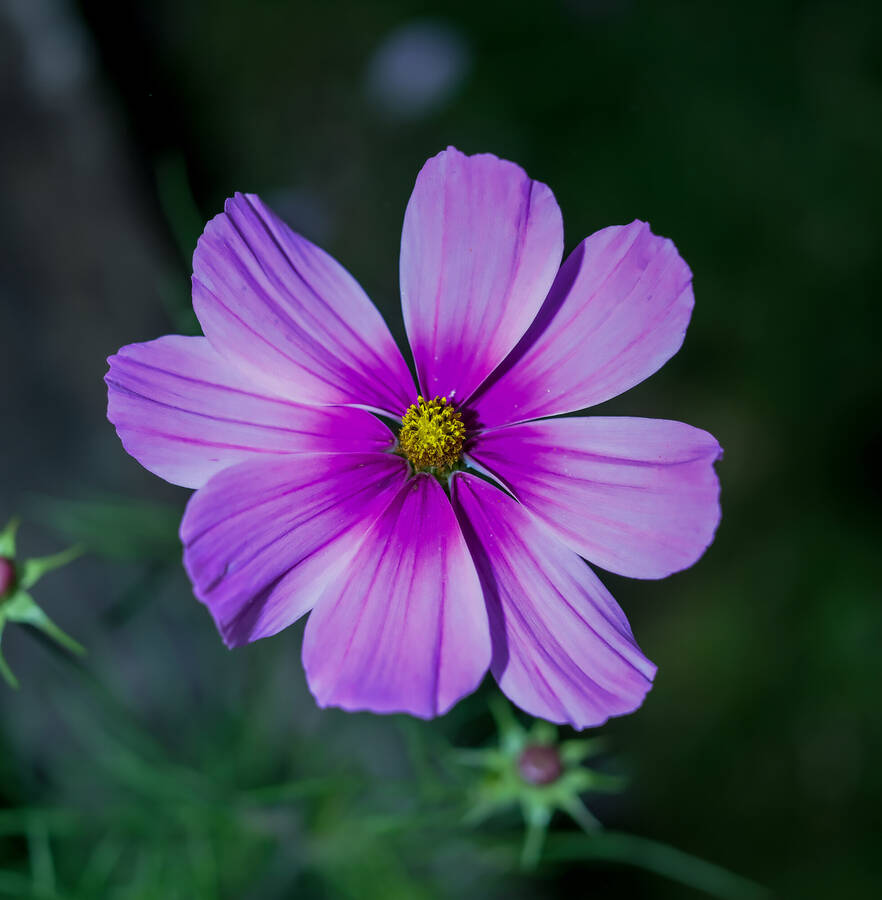 photographer Claudio uncategorized  photo