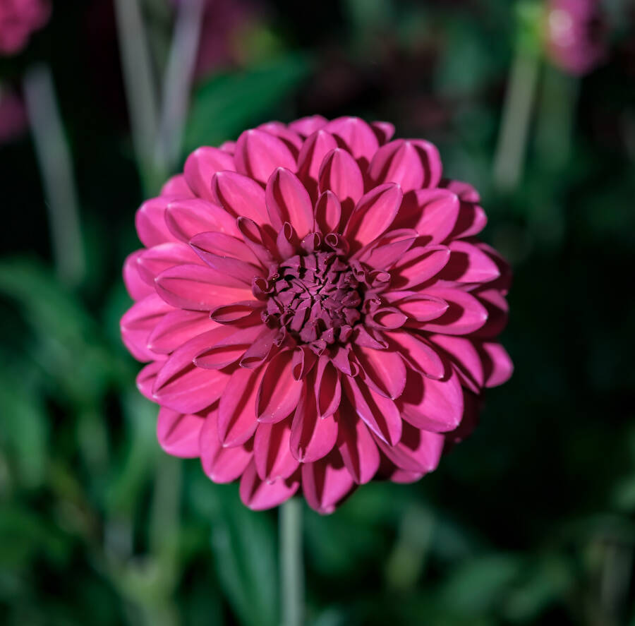 photographer Claudio uncategorized  photo