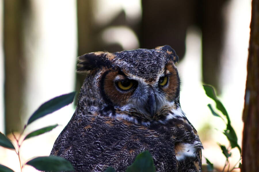 photographer Cloudy photos uncategorized  photo