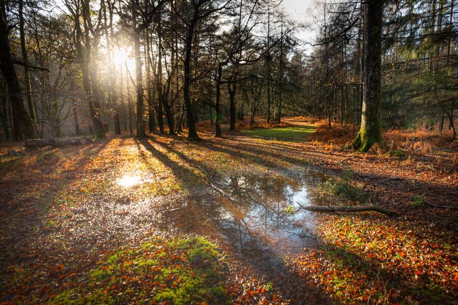 photographer Mark landscape  photo